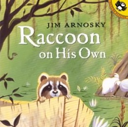Raccoon on His Own